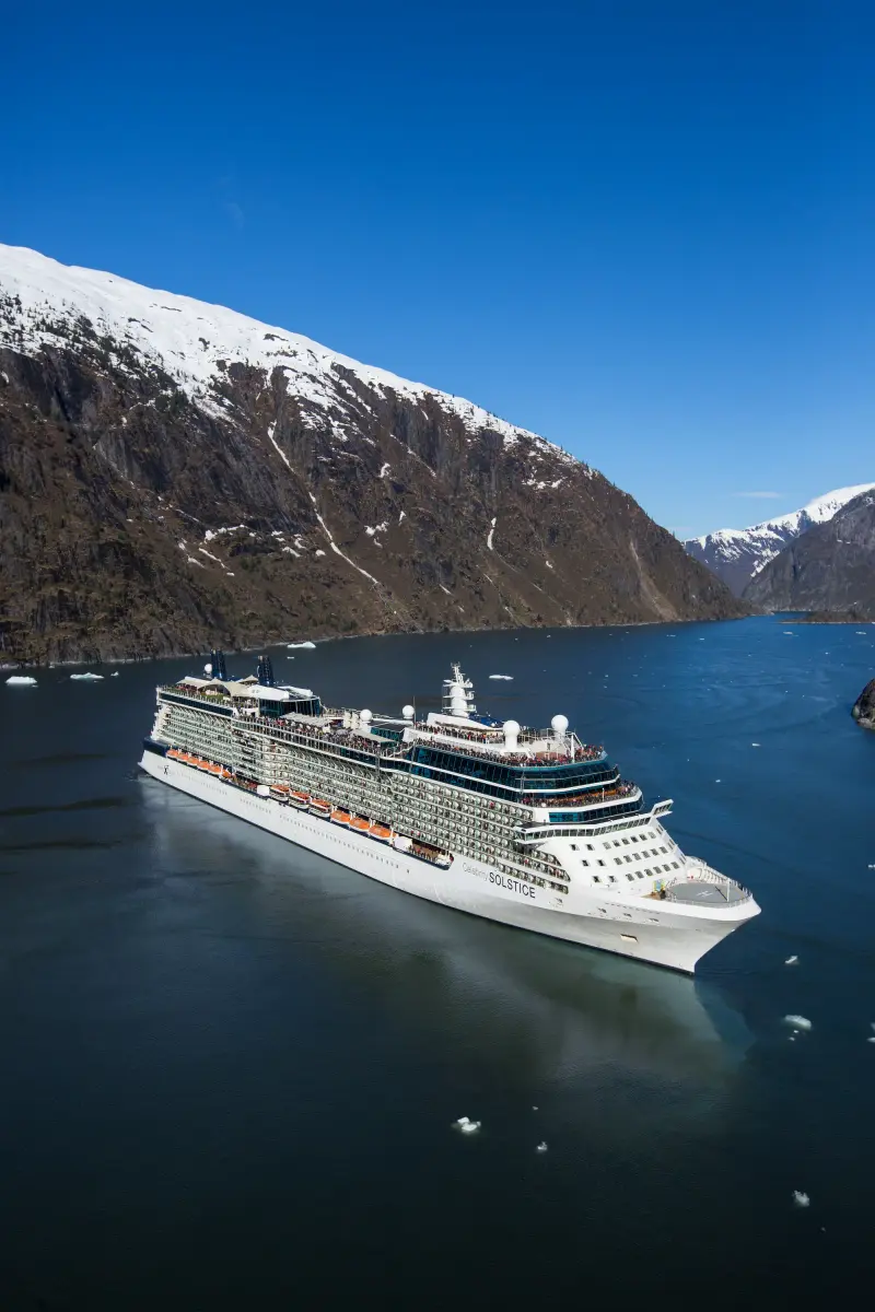 Celebrity Solstice Tracy Arm fiyordunda, uzaktan görünüm
