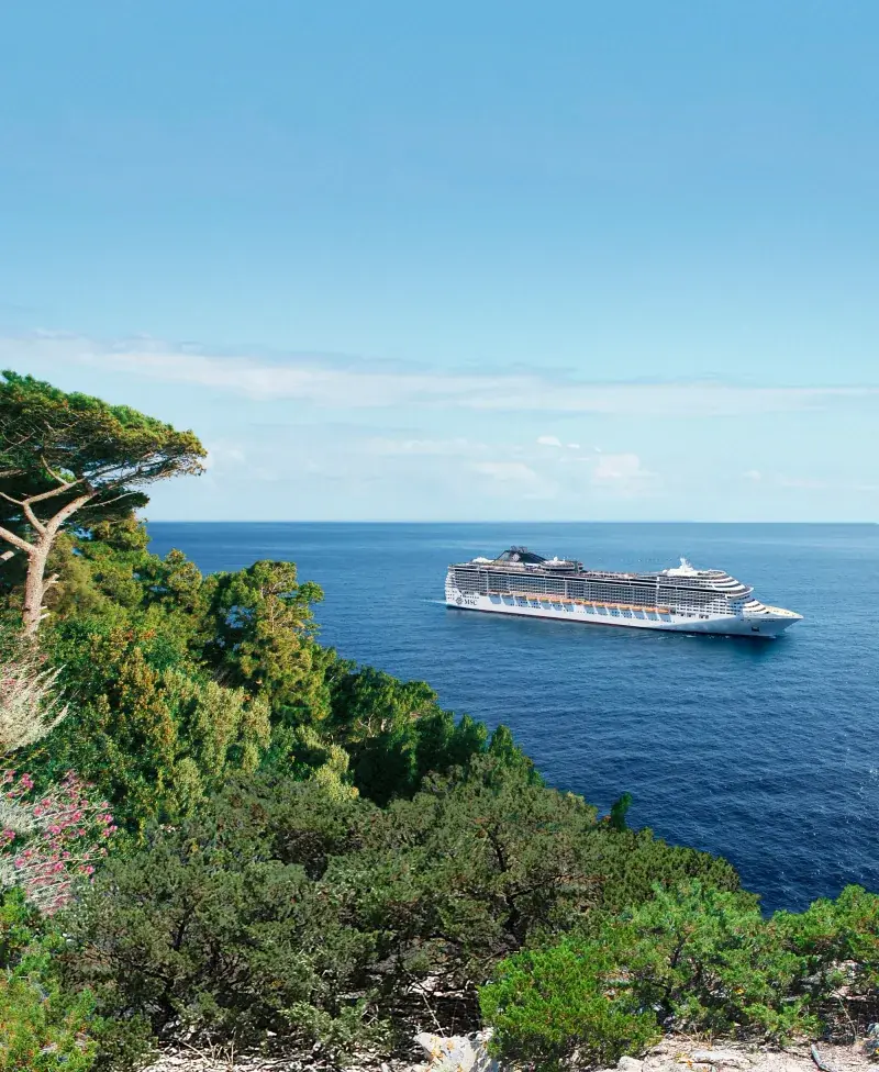 MSC Divina – Dış görünüm