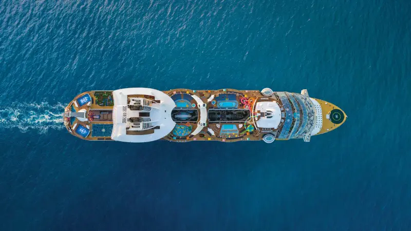 Oasis of the Seas tam yukarıdan görünüm