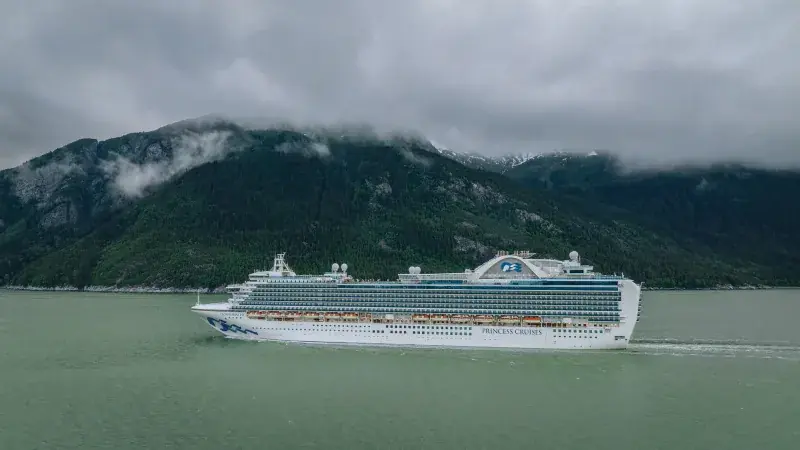 Crown Princess'in dağlık bir fiyortta yandan görünümü; pruvada Princess deniz kızı logosu