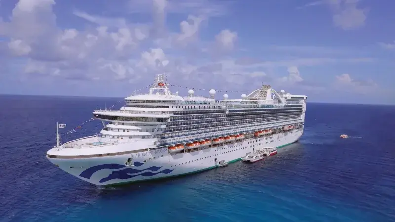 Caribbean Princess'in açık denizde kuşbakışı görünümü; pruvada Princess deniz kızı logosu